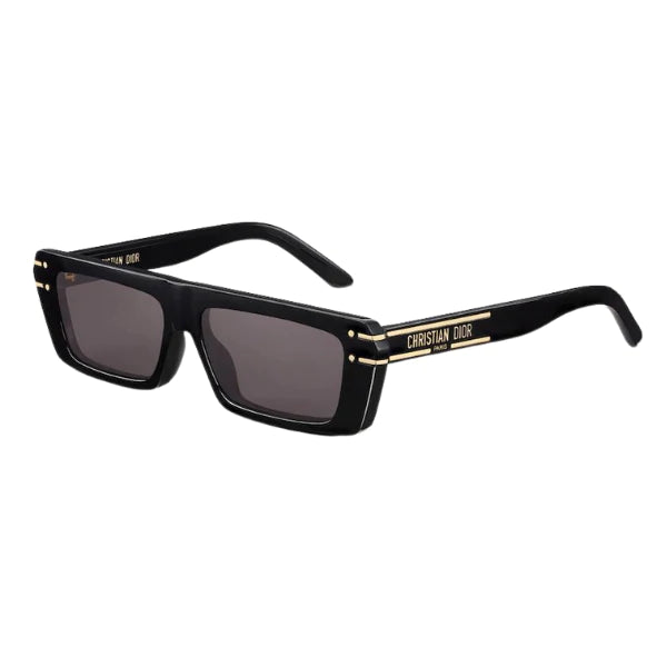 Dior Signature S2U DSGTS2UXR 10A0